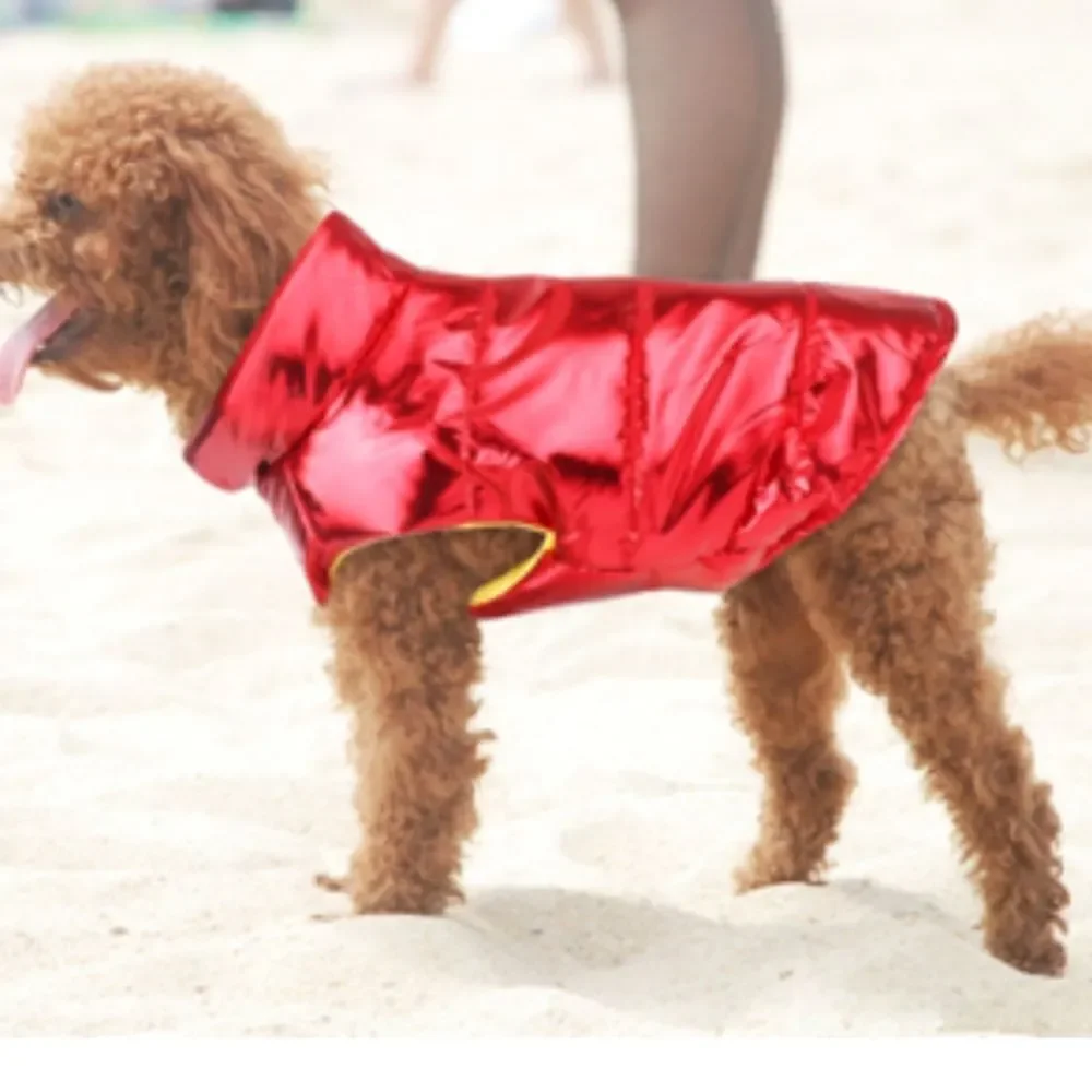 Geichong nwt dog